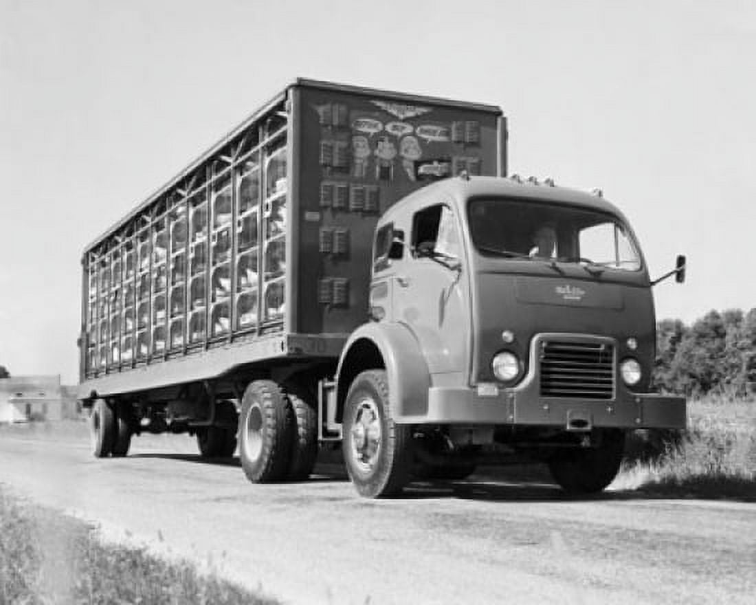 Man driving a truck loaded with chickens Canvas Art - (18 x 24)