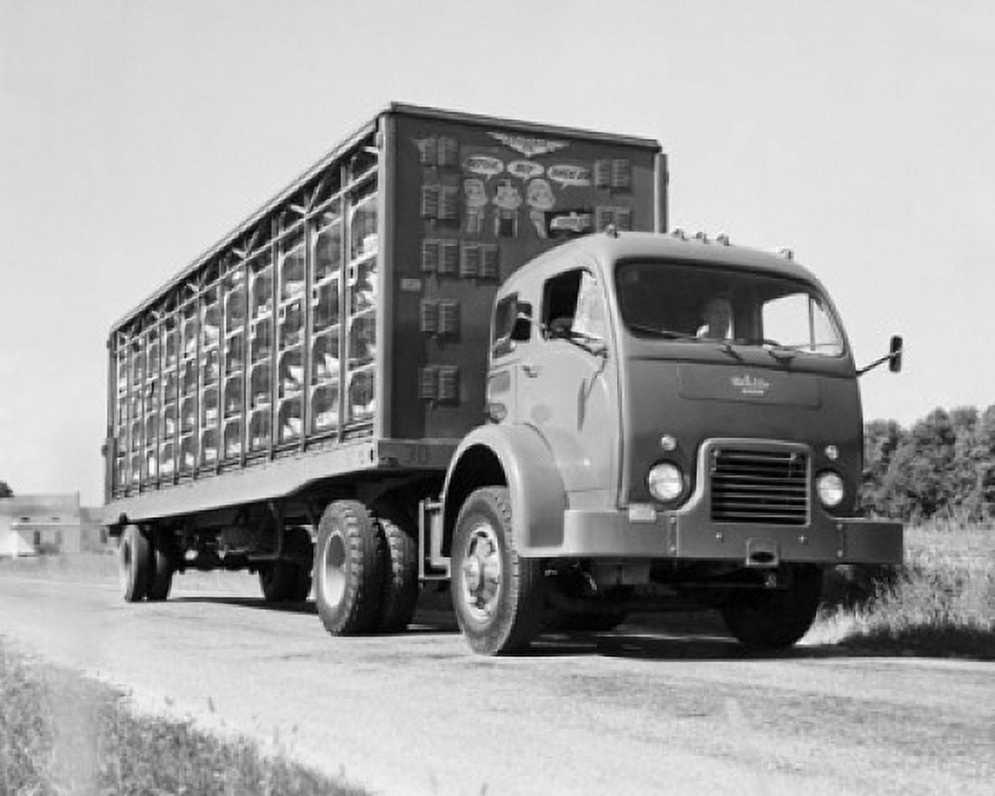 Man driving a truck loaded with chickens Canvas Art - (24 x 36)