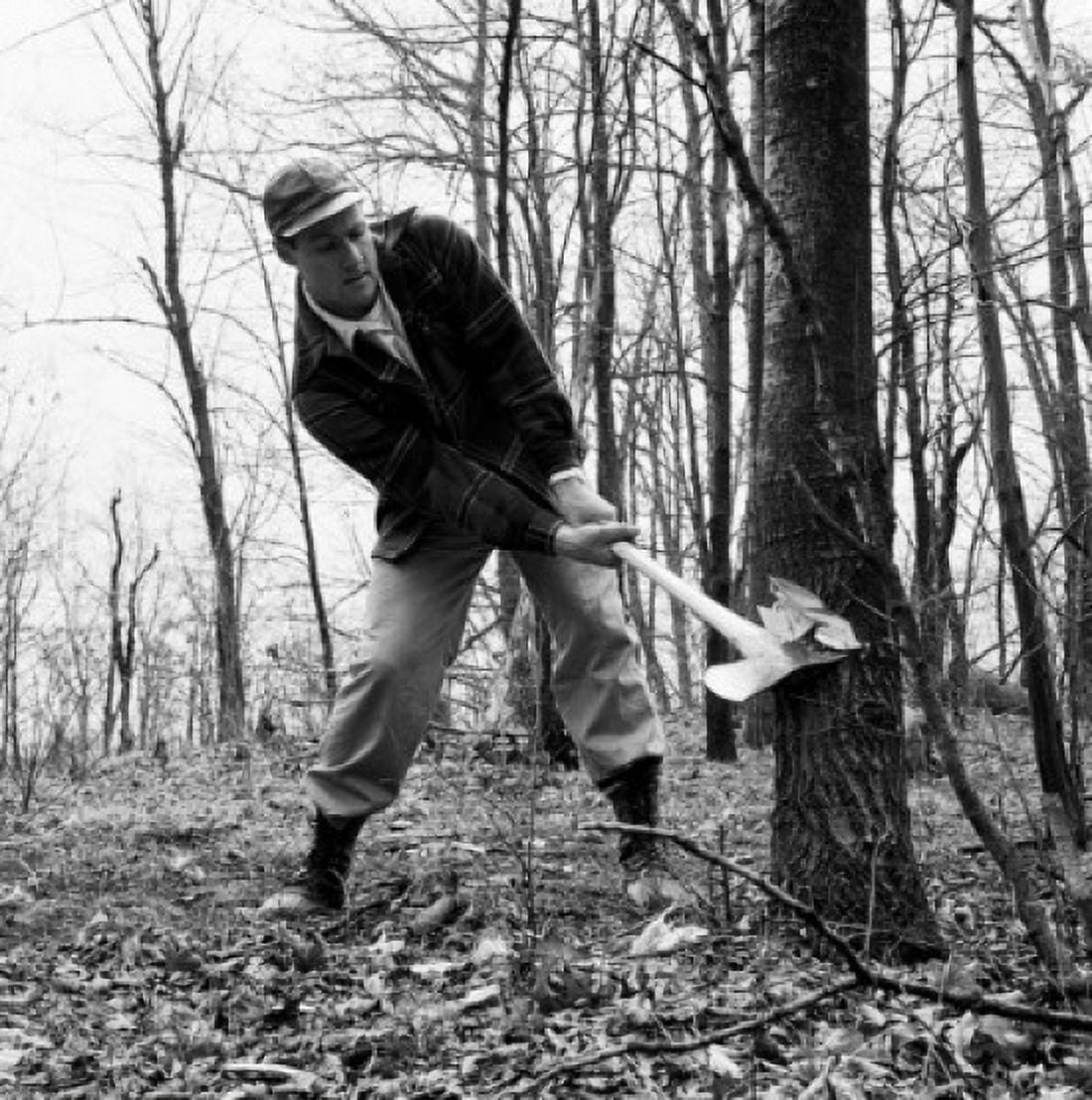 Man felling tree Canvas Art - (24 x 36)
