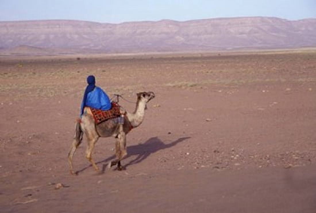 Man in Traditional Dress Riding Camel Morocco Canvas Art - John & Lisa Merrill DanitaDelimont (35 x 24)