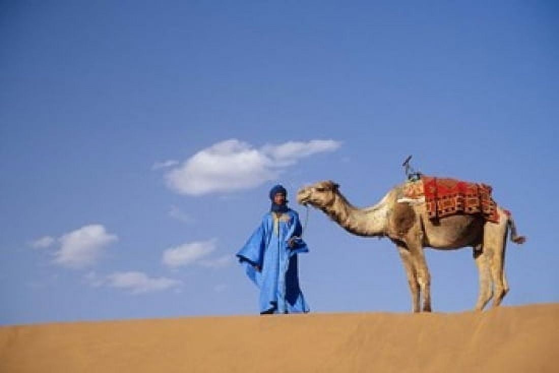Man leading camel on sand dunes Tinfou (near Zagora) Morocco Africa Canvas Art - John & Lisa Merrill DanitaDelimont (24 x 15)