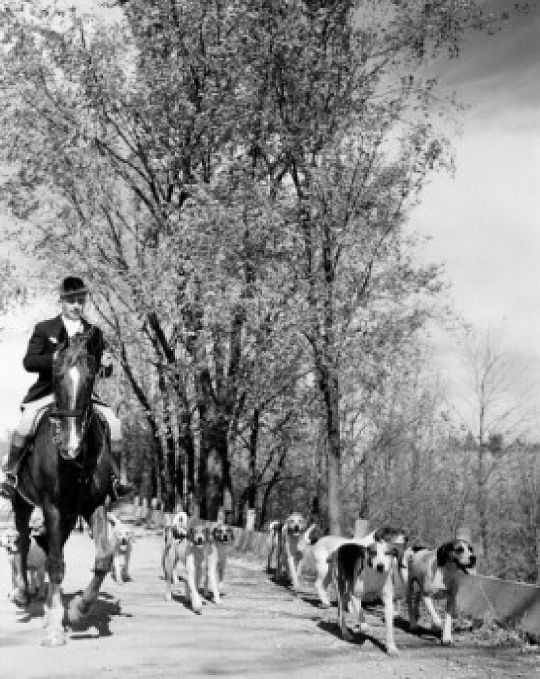 Man on horse and dogs on rural road Canvas Art - (18 x 24)