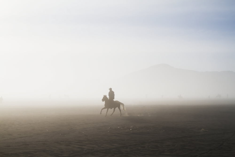Man riding a horse in the Tengger Sand Sea Bromo Tengger Semeru National Park East Java Indonesia Canvas Art - Peter Langer Design Pics (19 x 12)
