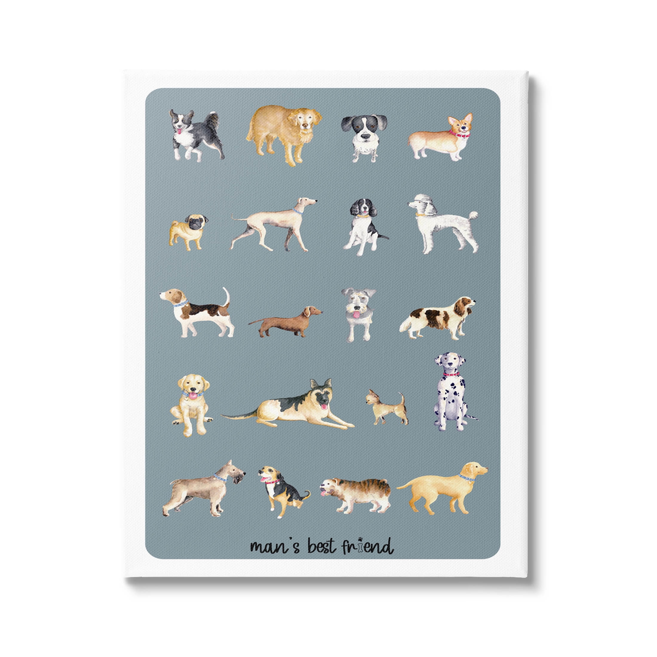 Man's Best Friend Dog Breeds Animals & Insects Graphic Art Gallery Wrapped Canvas Print Wall Art