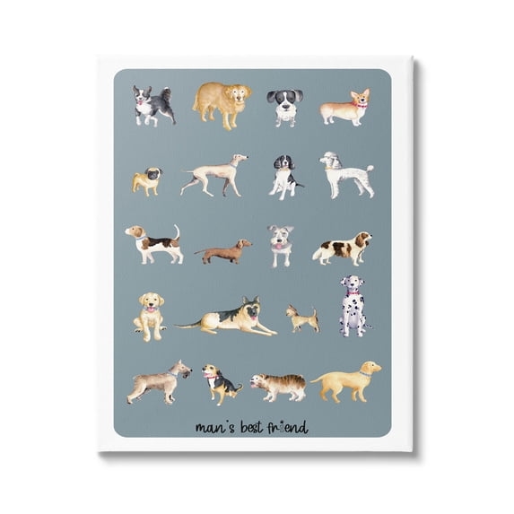 Man's Best Friend Dog Breeds Animals & Insects Graphic Art Gallery Wrapped Canvas Print Wall Art