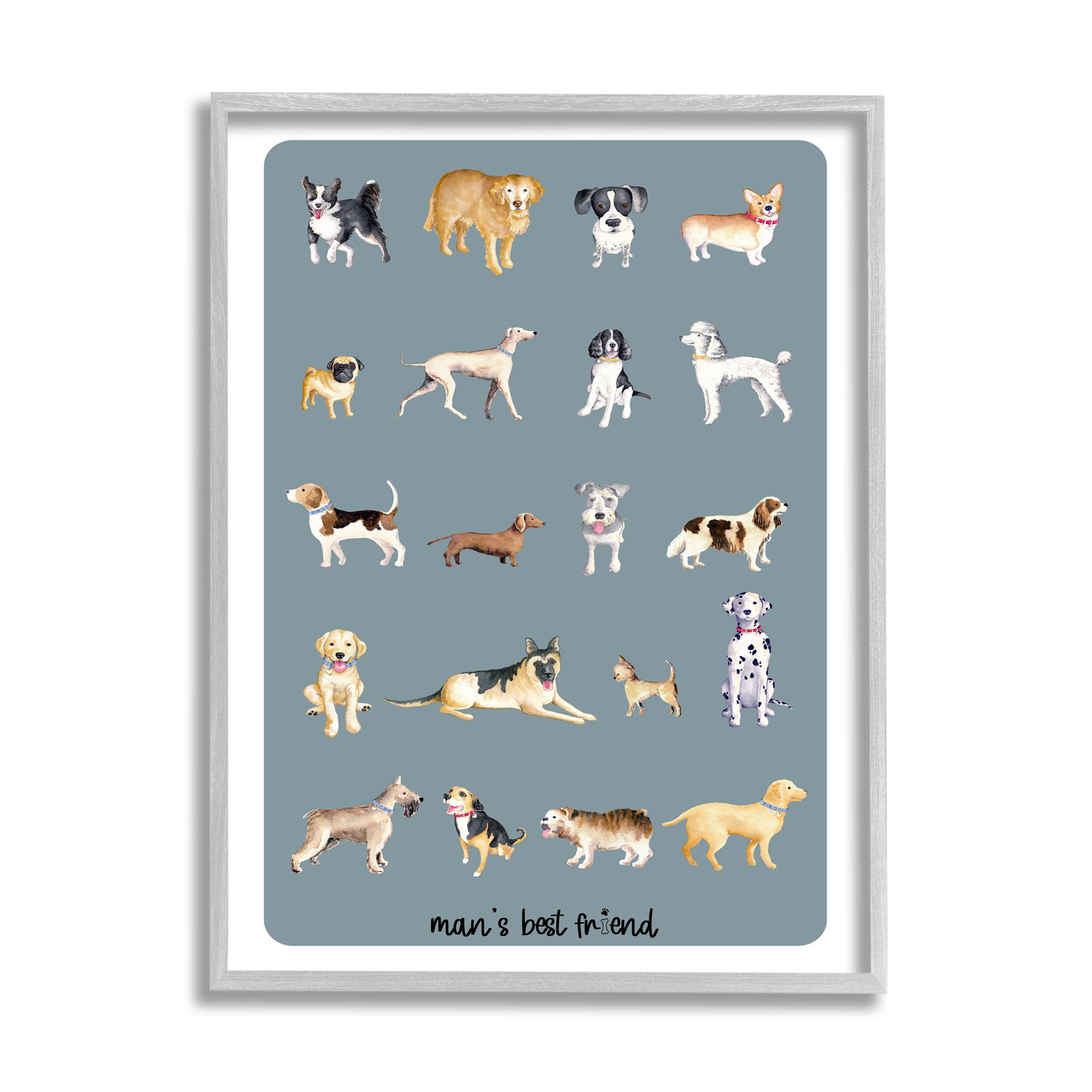 Man's Best Friend Dog Breeds Animals & Insects Graphic Art Gray Framed Art Print Wall Art