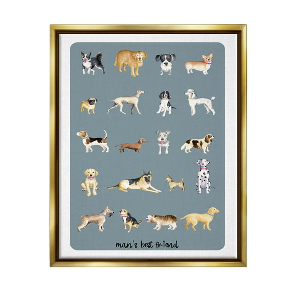 Man's Best Friend Dog Breeds Animals & Insects Graphic Art Metallic Gold Framed Art Print Wall Art