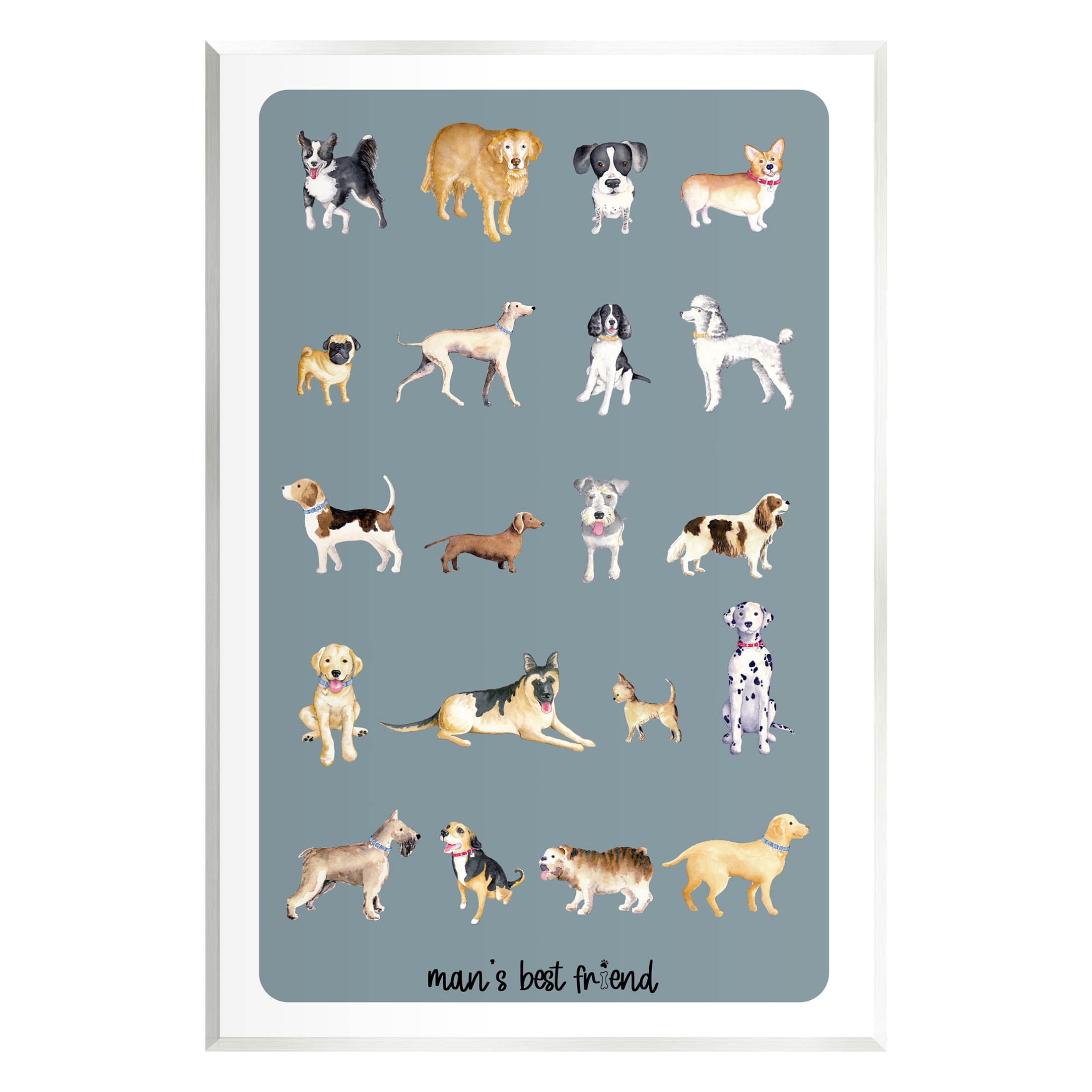 Man's Best Friend Dog Breeds Animals & Insects Graphic Art Unframed Art Print Wall Art