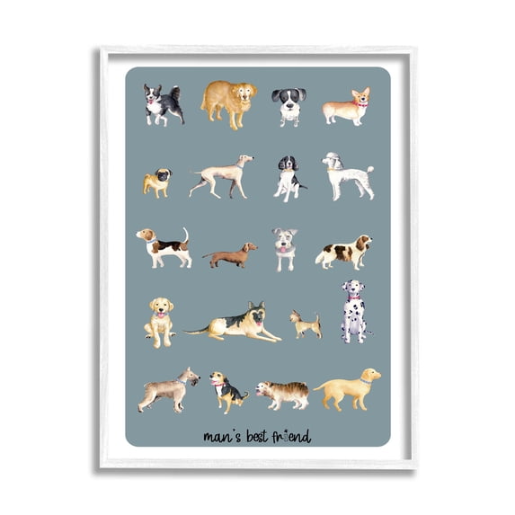 Man's Best Friend Dog Breeds Animals & Insects Graphic Art White Framed Art Print Wall Art