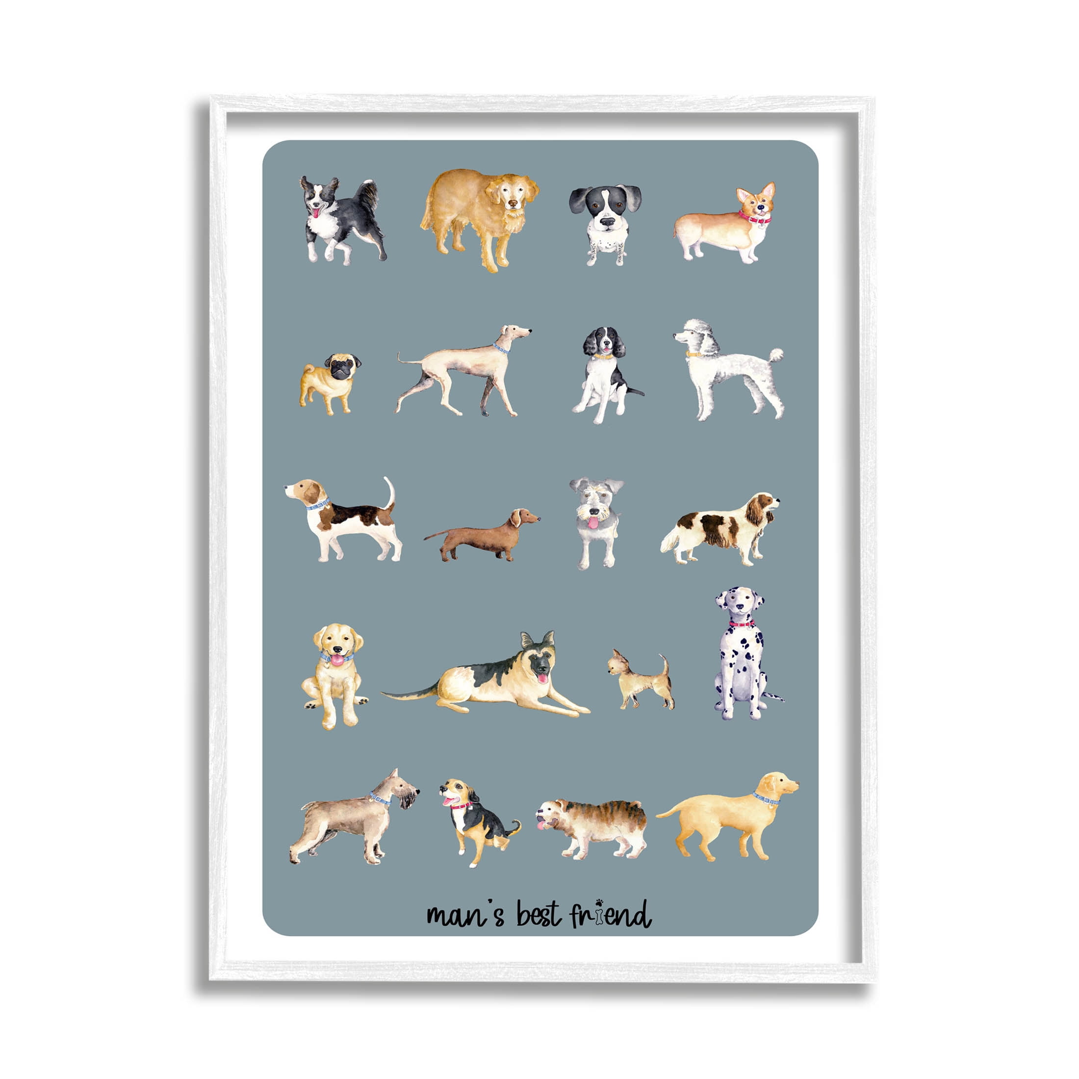 Man's Best Friend Dog Breeds Animals & Insects Graphic Art White Framed Art Print Wall Art