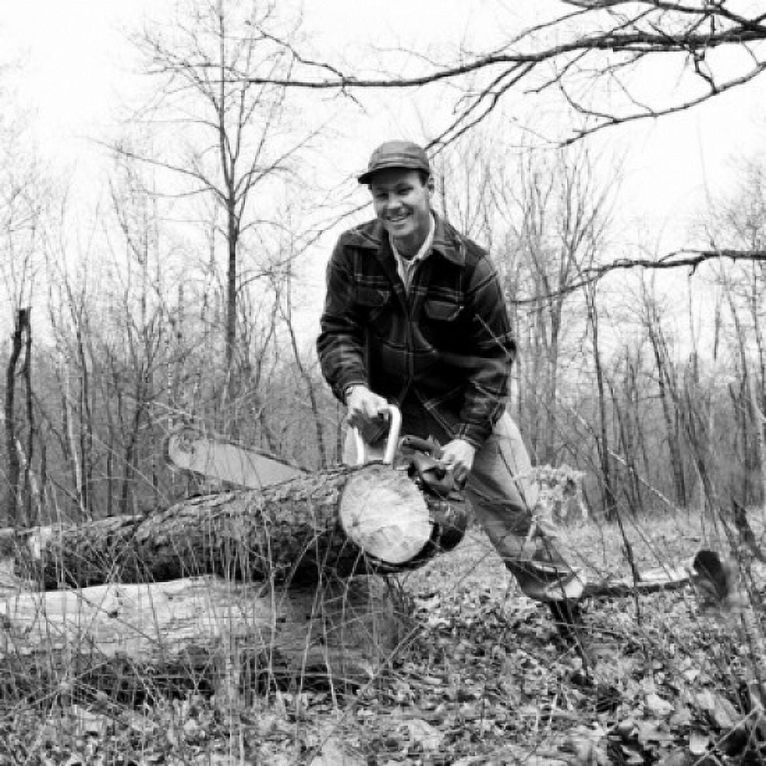 Man sawing tree Canvas Art - (24 x 36)