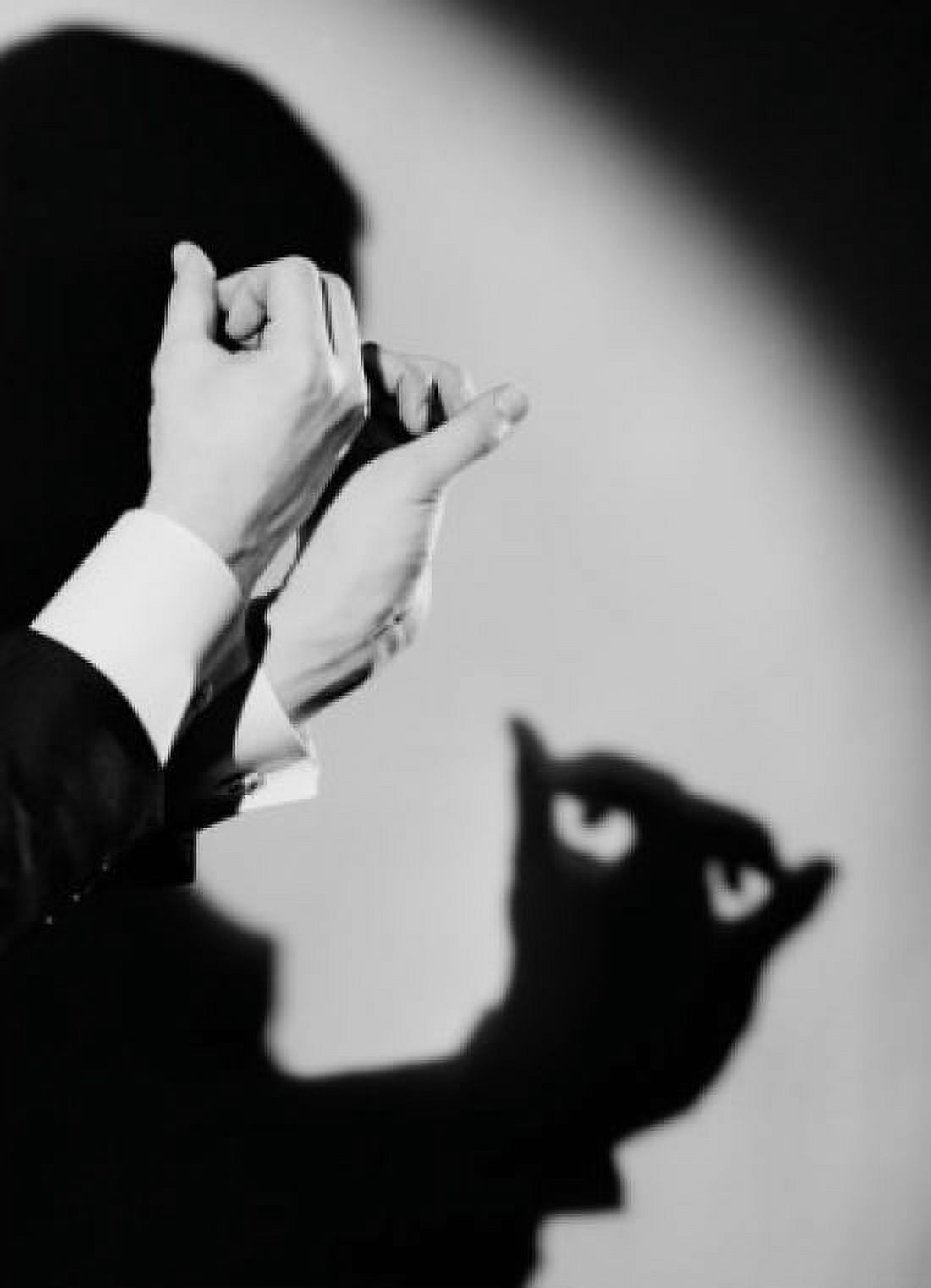 Man showing light and shadow trick Canvas Art - (24 x 36)