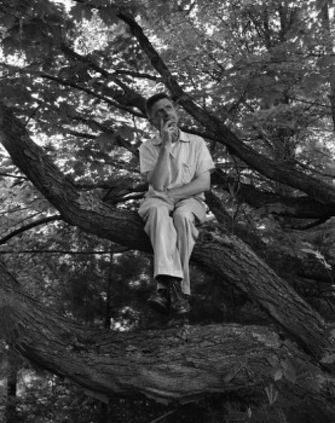 Man sitting on tree Canvas Art - (18 x 24)