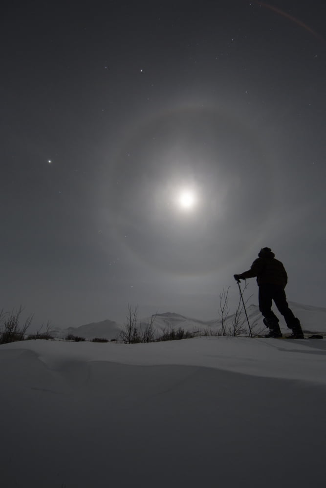 Man snowshoeing along the Dempster Highway under a moon glowing with rings Yukon Canada Canvas Art - Robert Postma Design Pics (24 x 38)