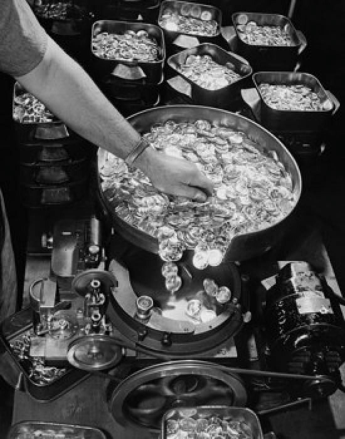 Man sorting coins with coin sorting machine Canvas Art - (18 x 24)