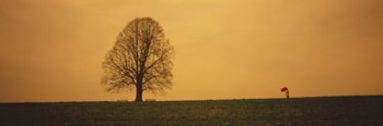 Man standing with an umbrella near a tree Baden-Wuerttemberg Germany Canvas Art - Panoramic Images (36 x 12)