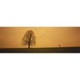 thumbnail image 1 of Man standing with an umbrella near a tree  Baden-Wuerttemberg  Germany Poster Print by  - 36 x 12, 1 of 1