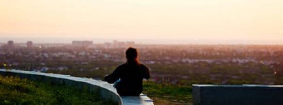 Man sting on the ledge in Baldwin Hills Scenic Overlook Park Culver City Los Angeles County California USA Canvas Art - Panoramic Images (15 x 6)