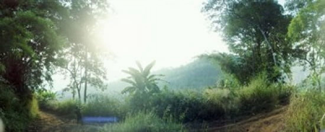Man with a slingshot in a forest Chiang Mai Thailand Canvas Art - Panoramic Images (30 x 13)