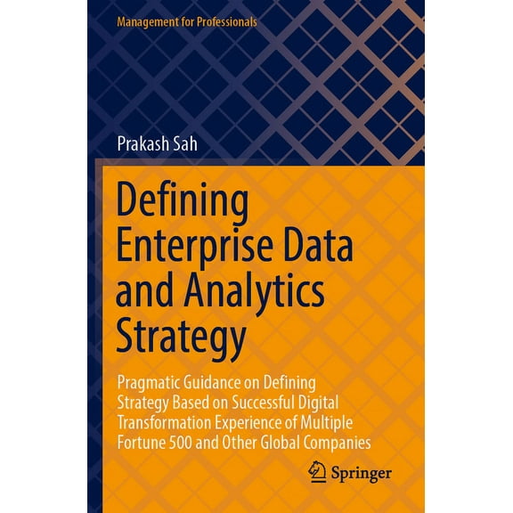 Management for Professionals Defining Enterprise Data and Analytics Strategy: Pragmatic Guidance on Defining Strategy Based on Successful Digital Tra, (Paperback)