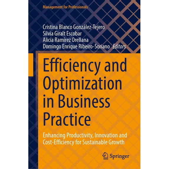 Management for Professionals Efficiency and Optimization in Business Practice: Enhancing Productivity, Innovation and Cost-Efficiency for Sustainable, (Hardcover)
