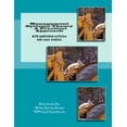 thumbnail image 1 of Management Systems Theory - A Practical Approach: With Published Articles and Case Studies, 1 of 1