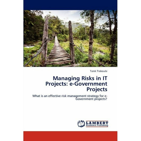 Managing Risks in It Projects: E-Government Projects (Paperback)