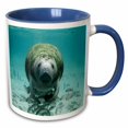 thumbnail image 1 of 3drose, Manatee N Fishes Underwater, 15oz Two-tone Blue Mug, 1 of 6