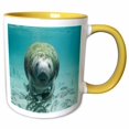 thumbnail image 1 of 3drose, Manatee N Fishes Underwater, 15oz Two-tone Yellow Mug, 1 of 6