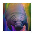 thumbnail image 1 of Manatee Pop Splendor - Canvas, 1 of 25