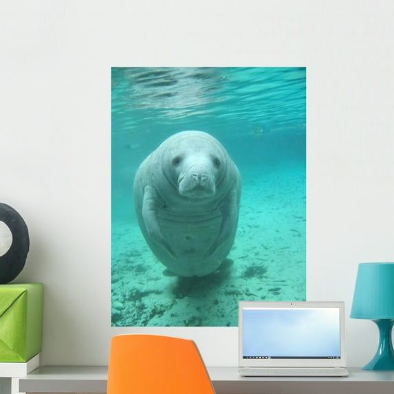 Manatee Wall Mural Decal Sticker, Wallmonkeys Peel & Stick Vinyl Graphic (24 in H x 18 in W)