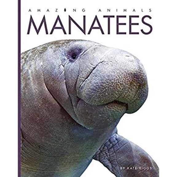 Pre-Owned Manatees (Paperback) 1628324953 9781628324952