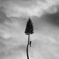 thumbnail image 1 of Manchester Orchestra - A Black Mile To The Surface - Music & Performance - Vinyl, 1 of 1