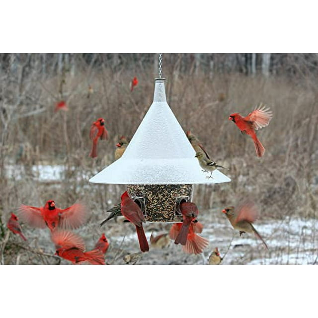 Mandarin Bird Feeder with Perches, Large Squirrel Proof Bird Feeder, 17