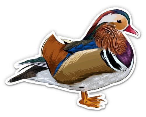 Mandarin Duck - 5