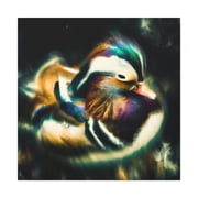 Mandarin Duck Expressionism - Canvas