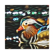 Mandarin Duck Reflection - Canvas