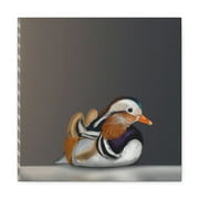 Mandarin Duck Reflection - Canvas