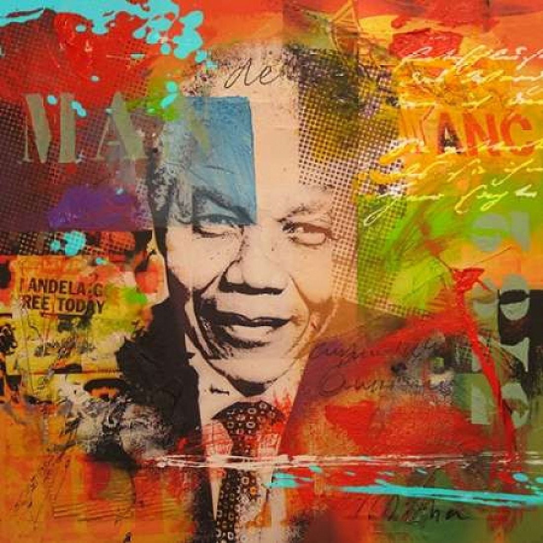 Mandela Canvas Art - Micha Baker (24 x 24)