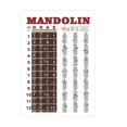 Mandolin Chord Chart Poster Easy Chord and Fretboard Note Chart for