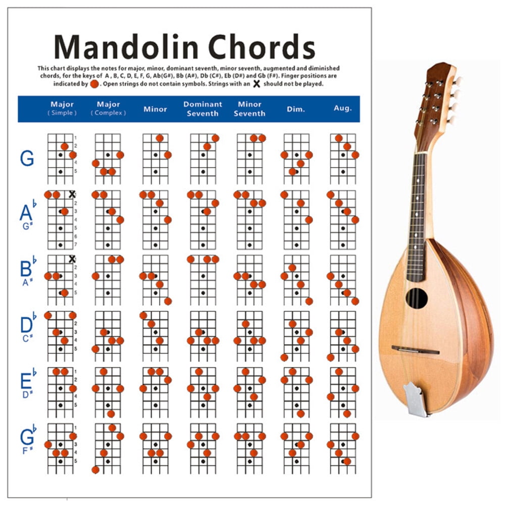 Mandolin Finger Guide Chord Chart Label Poster Exercise Diagram