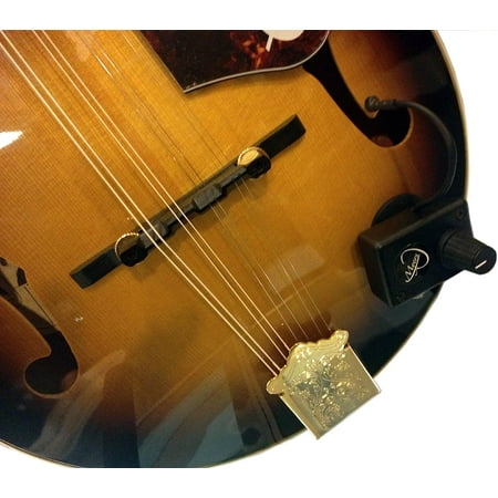 Mandolin Microphone with Flexible Micro-Gooseneck by Myers Pickups