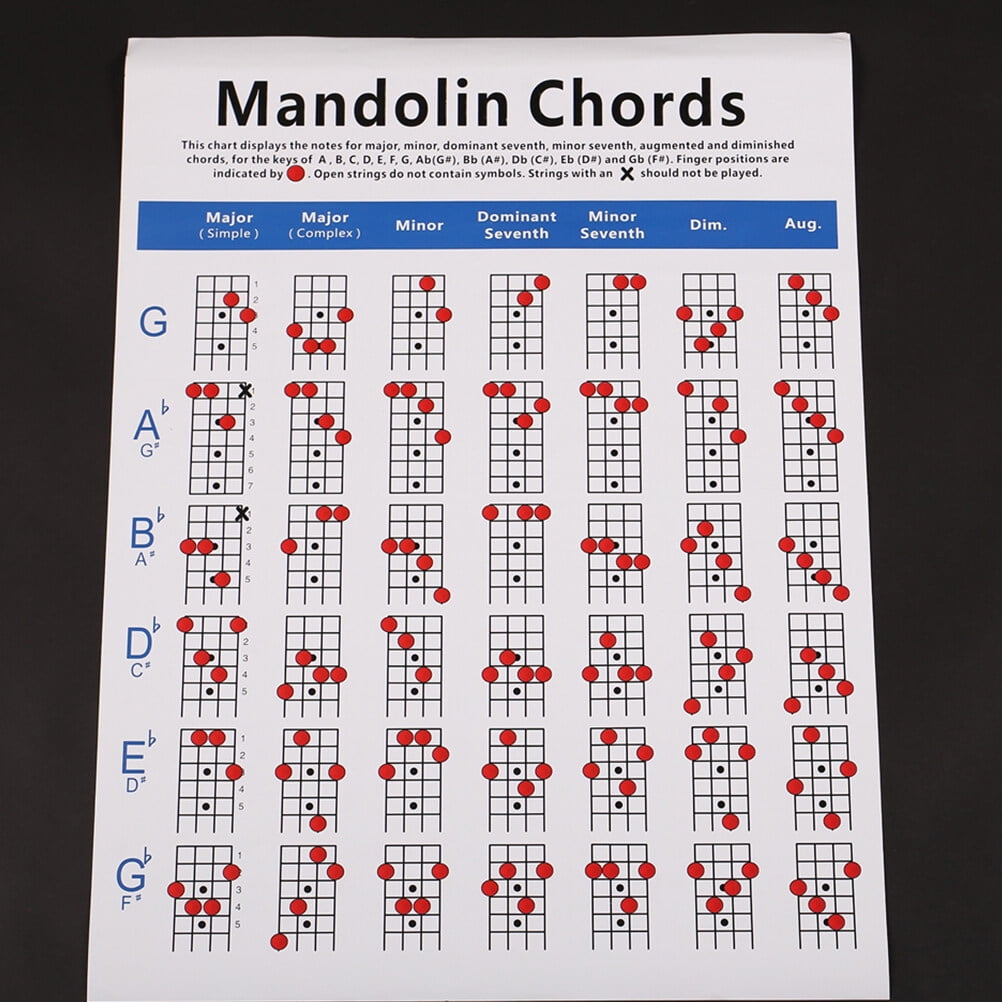 Mandolin Poster Chord Musical Guide Reference Trainning Instrument