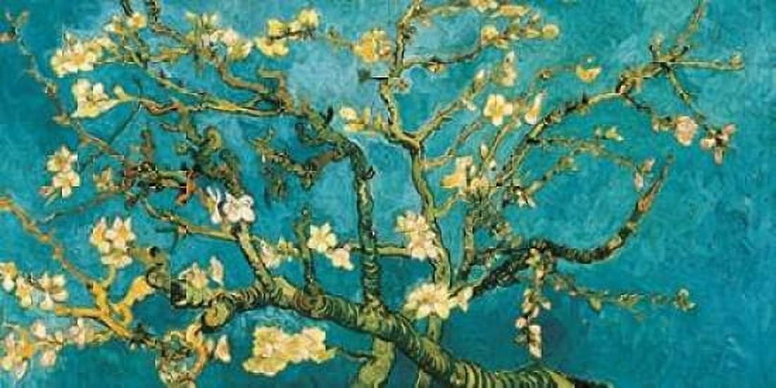 Mandorlo in fiore Canvas Art - Vincent Van Gogh (10 x 20)