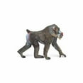 thumbnail image 1 of Mandrill, 1 of 1