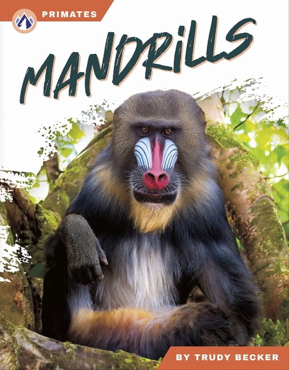 Mandrills, (Paperback)