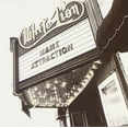 thumbnail image 1 of Mane Attraction, 1 of 1