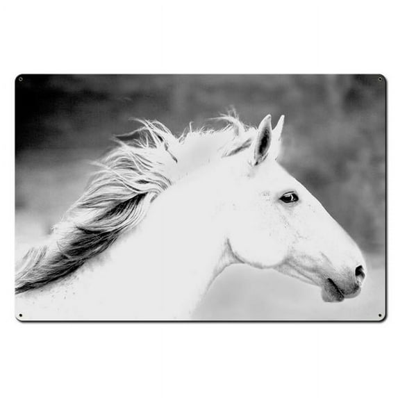 Mane in The Wind Sign - 36 x 24 in.