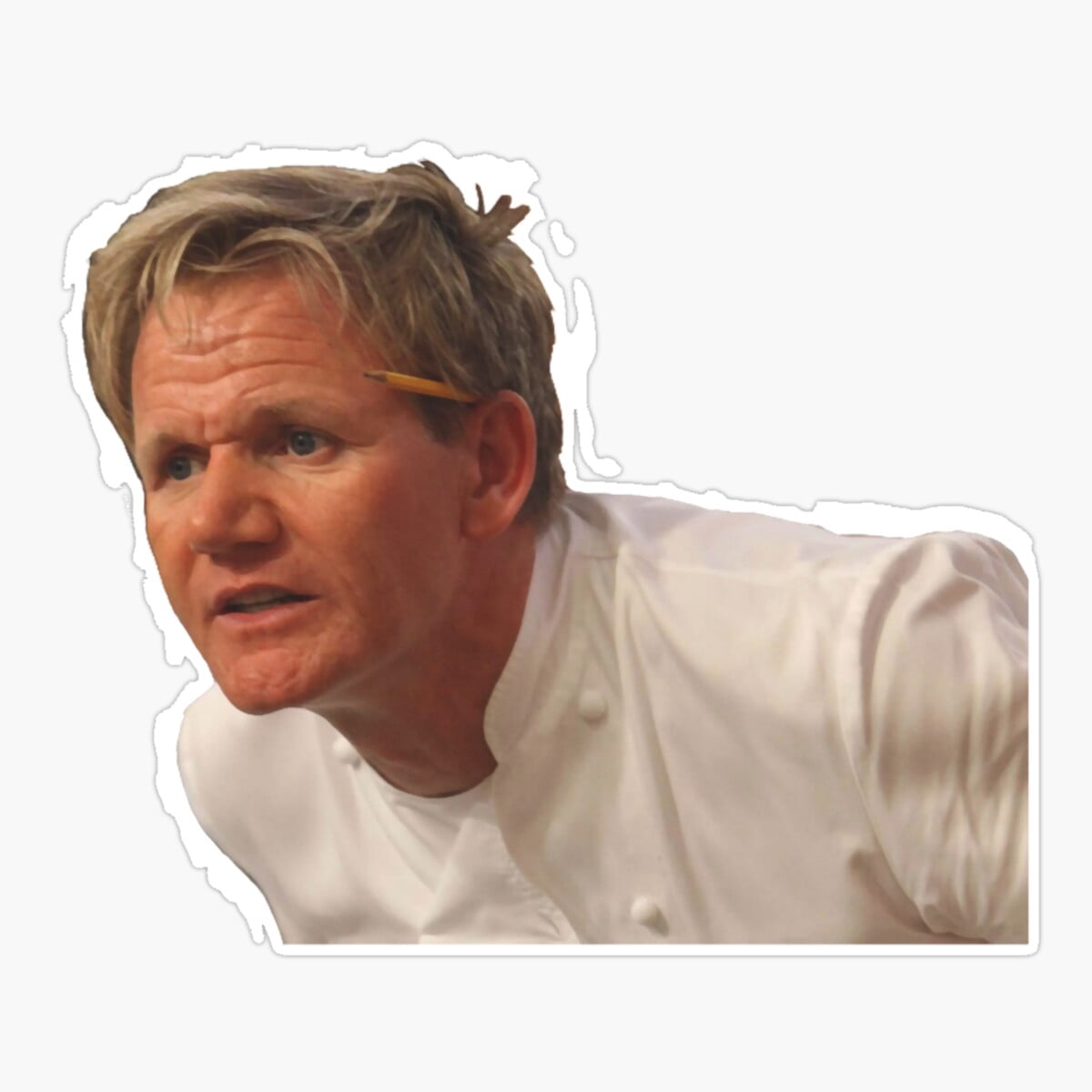 Maneki Angry Gordon Ramsay Sticker, Phone Decal Water Bottle Stickers ...
