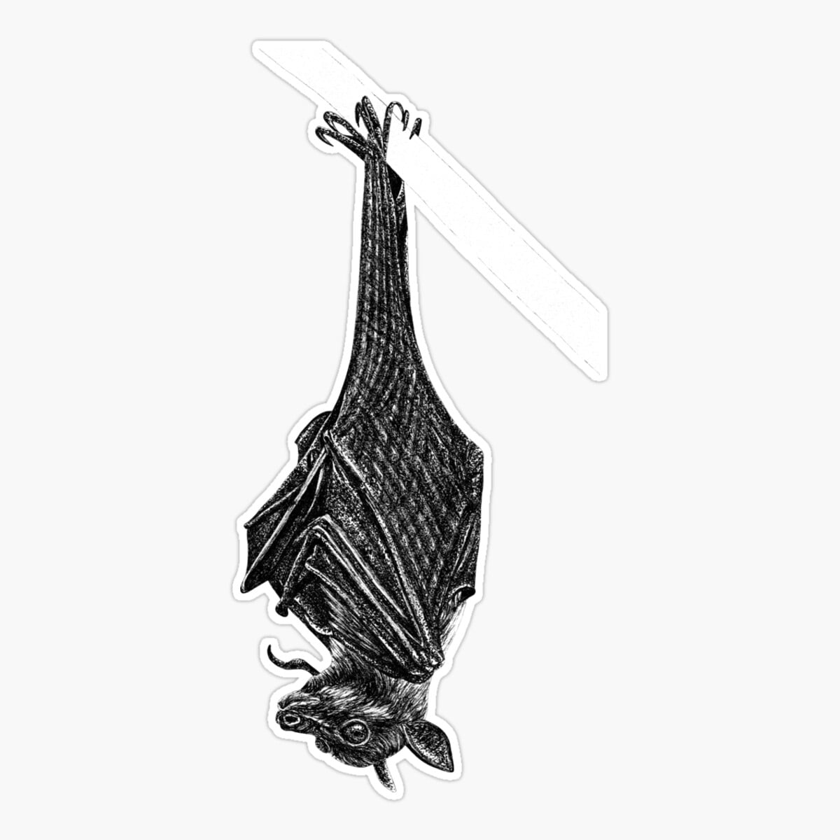 Maneki Flying Fox Bat Er, Phone Decal Water Bottle Stickers Car Decals ...